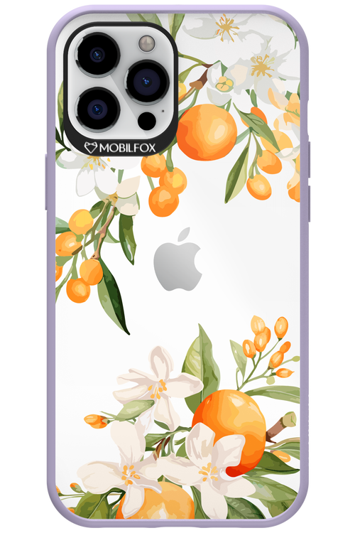 Amalfi Orange 2.0 - Apple iPhone 12 Pro Max