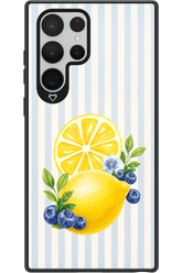 Fresh Flash 2.0 - Samsung Galaxy S22 Ultra