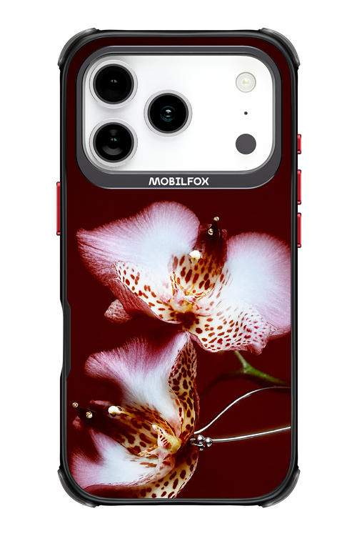 Leobloomy 2.0 - Apple iPhone 17 Pro