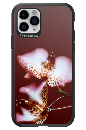 Leobloomy 2.0 - Apple iPhone 11 Pro