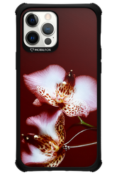 Leobloomy 2.0 - Apple iPhone 12 Pro Max