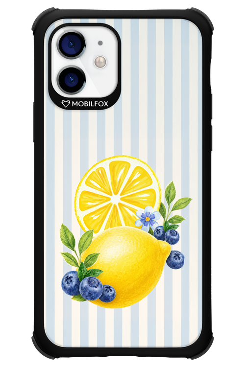 Fresh Flash 2.0 - Apple iPhone 12