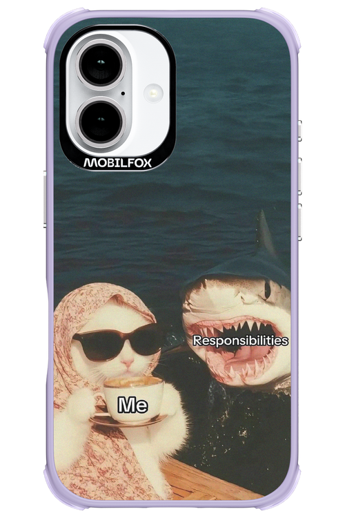 Responsibilities - Apple iPhone 16