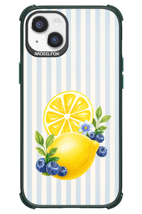 Fresh Flash 2.0 - Apple iPhone 14 Plus