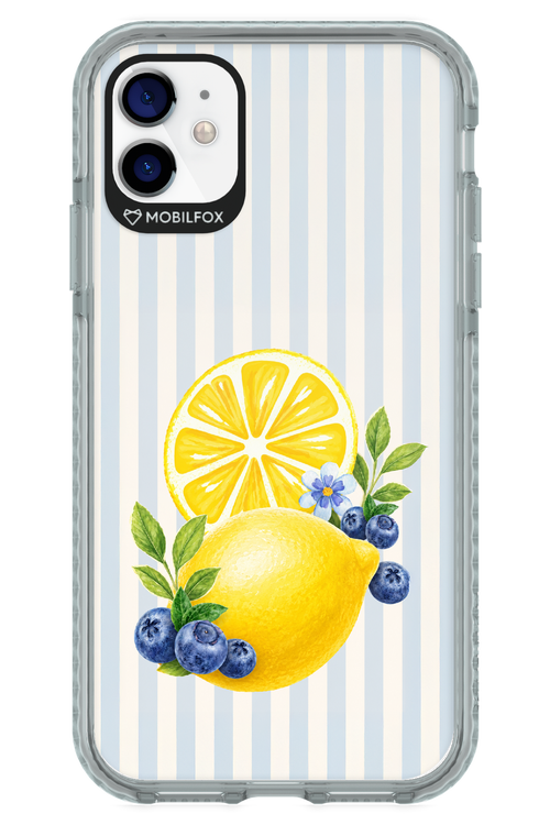 Fresh Flash 2.0 - Apple iPhone 11