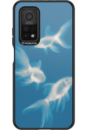 Lady of the Lake 2.0 - Xiaomi Mi 10T 5G