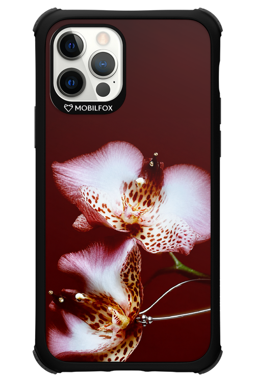Leobloomy 2.0 - Apple iPhone 12 Pro
