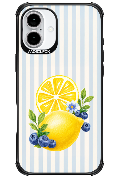 Fresh Flash 2.0 - Apple iPhone 16 Plus