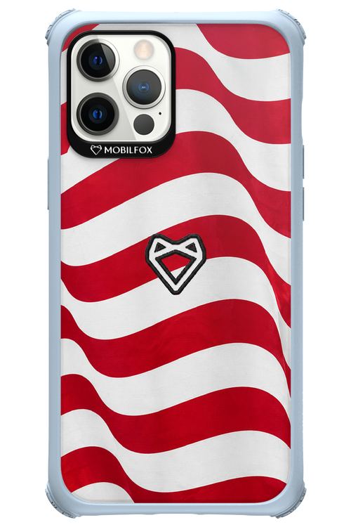 USA 2.0 - Apple iPhone 12 Pro Max