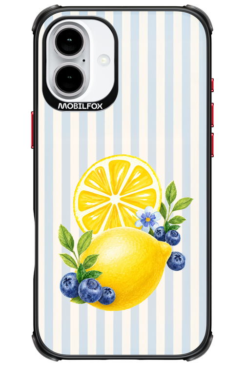 Fresh Flash 2.0 - Apple iPhone 16 Plus