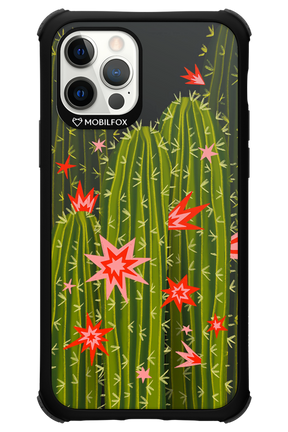 Cactus bloom 2.0 - Apple iPhone 12 Pro