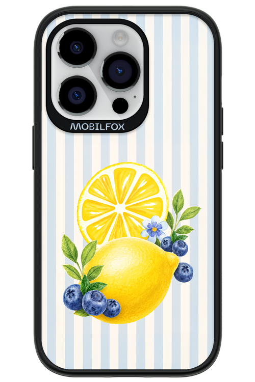 Fresh Flash 2.0 - Apple iPhone 14 Pro