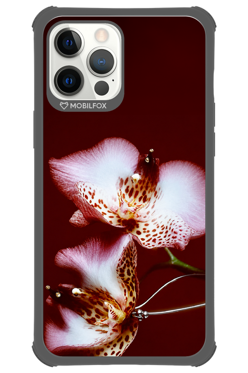 Leobloomy 2.0 - Apple iPhone 12 Pro Max