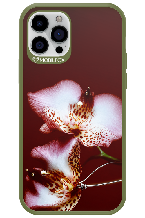Leobloomy 2.0 - Apple iPhone 12 Pro