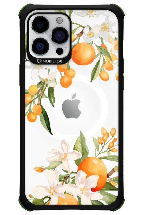 Amalfi Orange 2.0 - Apple iPhone 12 Pro Max