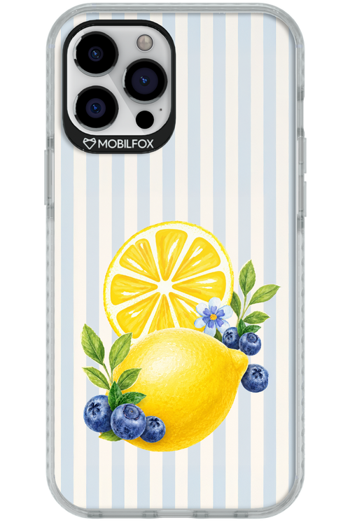 Fresh Flash 2.0 - Apple iPhone 12 Pro Max