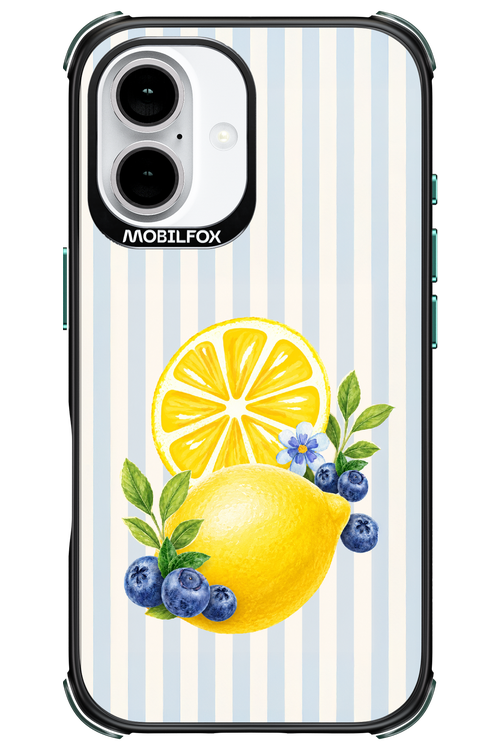 Fresh Flash 2.0 - Apple iPhone 16