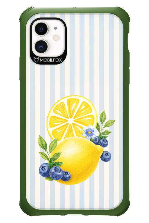Fresh Flash 2.0 - Apple iPhone 11