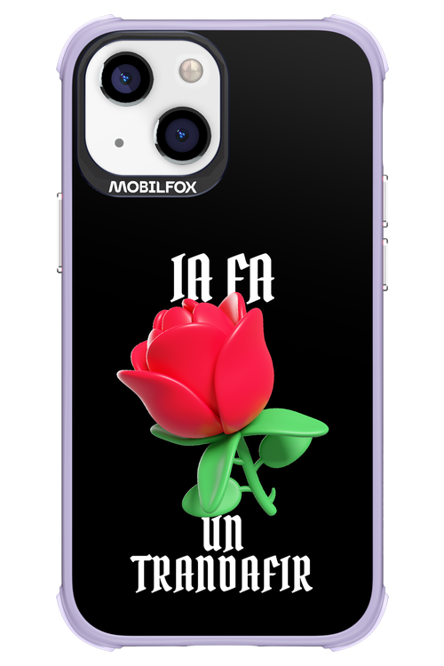 Rose Black - Apple iPhone 13 Mini