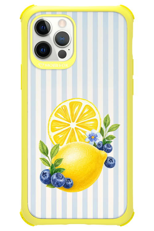 Fresh Flash 2.0 - Apple iPhone 12 Pro