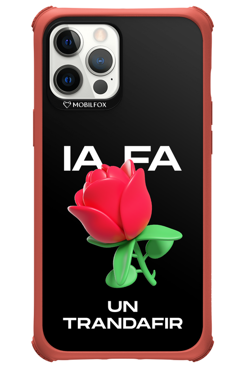 IA Rose Black - Apple iPhone 12 Pro Max
