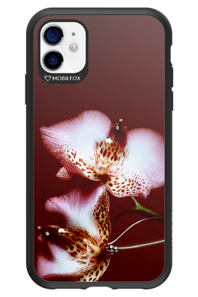Leobloomy 2.0 - Apple iPhone 11