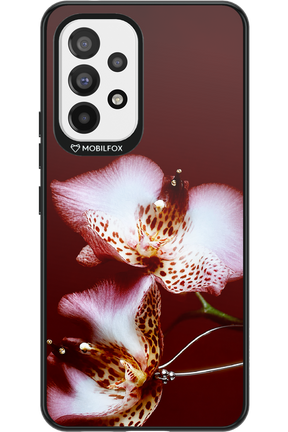 Leobloomy 2.0 - Samsung Galaxy A53