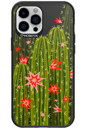 Cactus bloom 2.0 - Apple iPhone 12 Pro Max