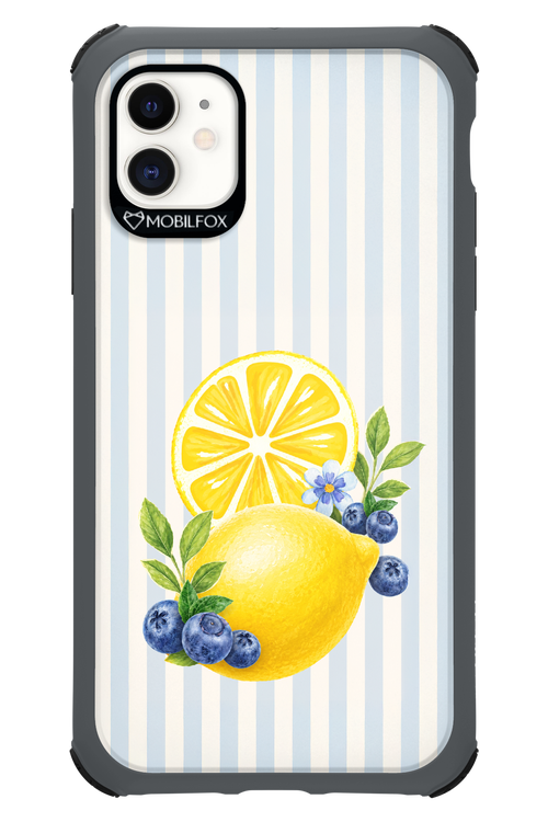 Fresh Flash 2.0 - Apple iPhone 11