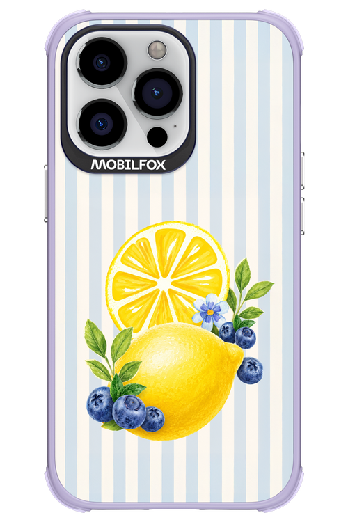 Fresh Flash 2.0 - Apple iPhone 13 Pro