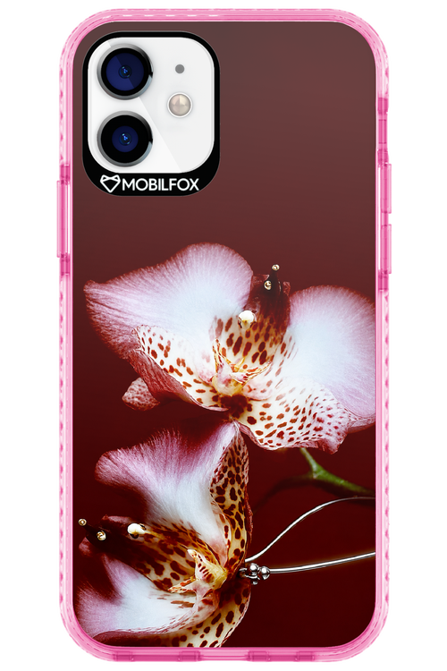 Leobloomy 2.0 - Apple iPhone 12