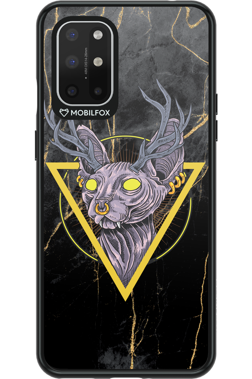 Bastet - OnePlus 8T